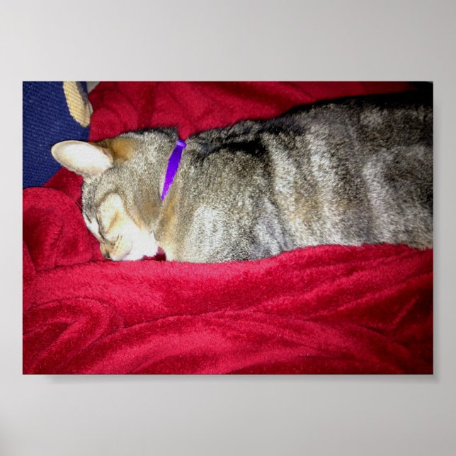 Passed Out Indigo Poster (Front)