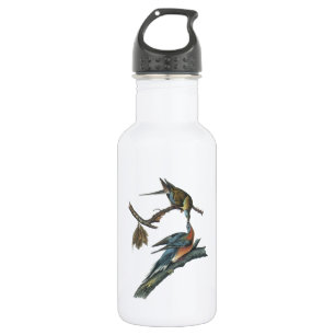 Passenger Pigeon by Audubon 532 Ml Water Bottle