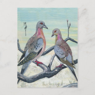 Passenger Pigeons Postcard