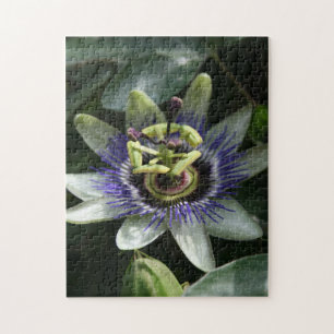 Passiflora Fleur de la Passion Floral Photo Puzzle