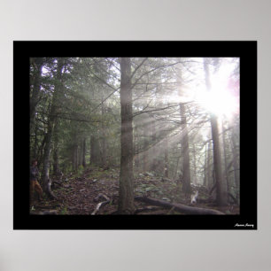 Passing Through Poster