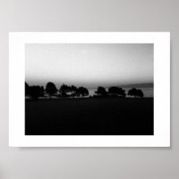 Passing Trees Canada Black and White Photography