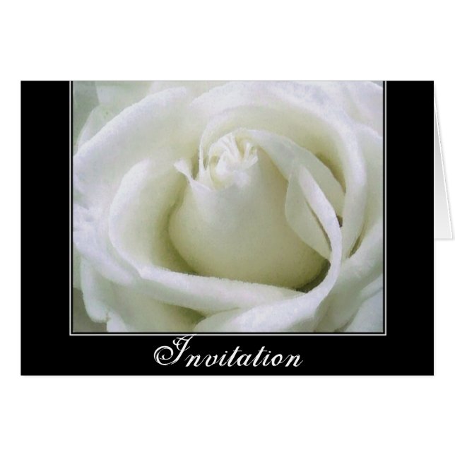 Passion _ (Front Horizontal)