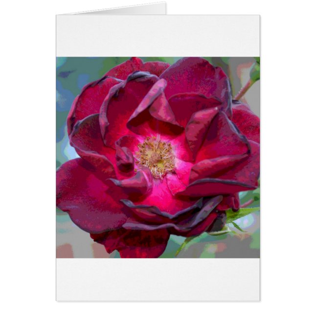 Passion Burgandy Flower (Front)