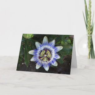 Passion Flower #2 Card
