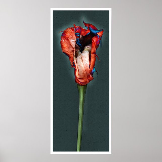 Passion Flower #5 Poster (Front)