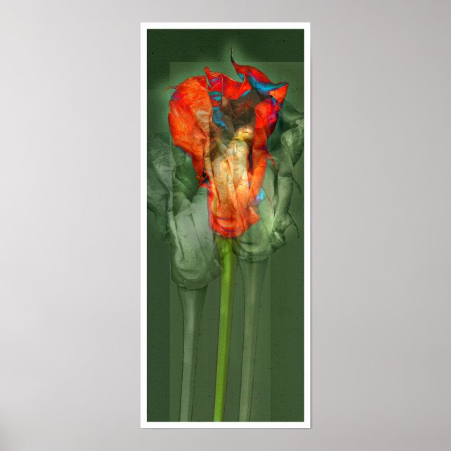 Passion Flower #6 Poster (Front)