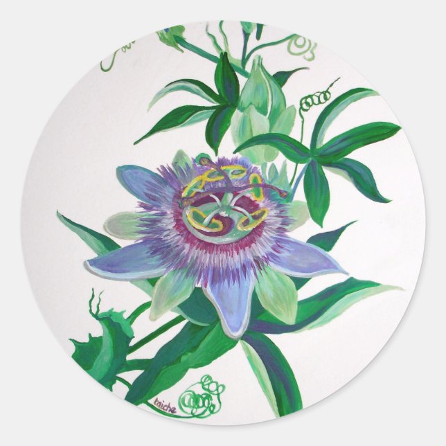 Passion Flower Botanical Art Classic Round Sticker (Front)