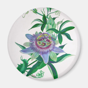 Passion Flower Botanical Art Magnet