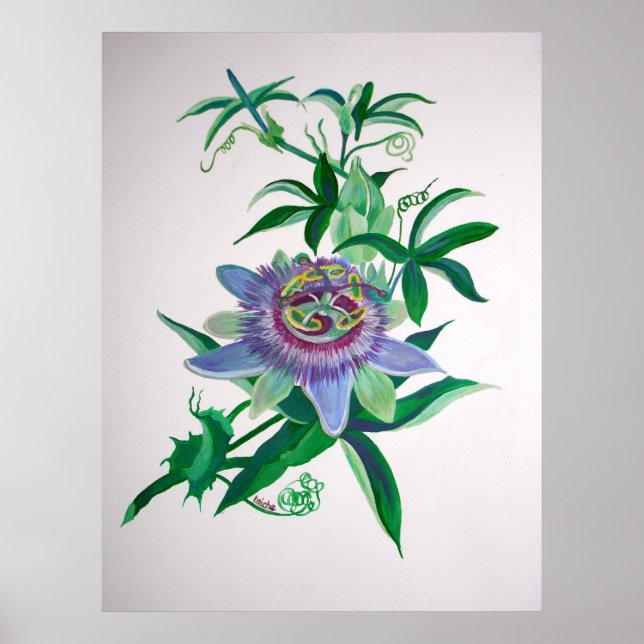 Passion Flower Botanical Art Poster (Front)