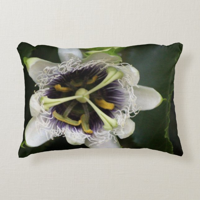 Passion Flower Closeup 2 Decorative Cushion (Front)