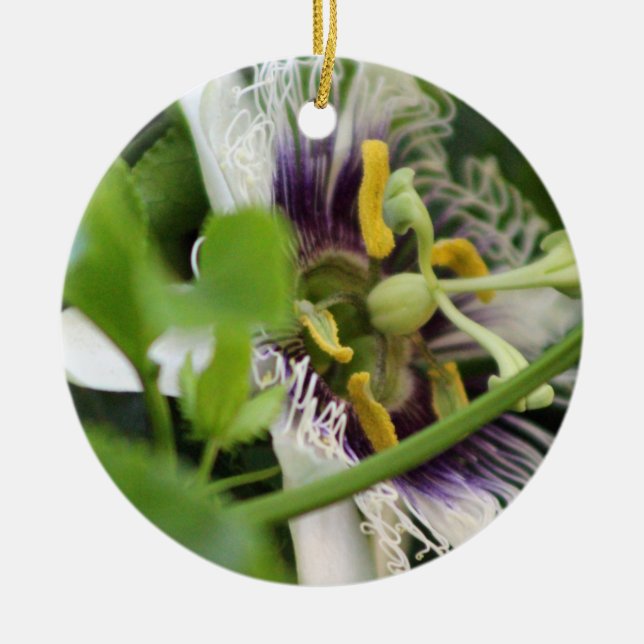 Passion Flower Closeup Ceramic Ornament (Front)
