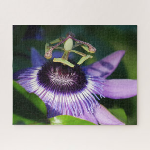 Passion Flower Jigsaw Puzzle