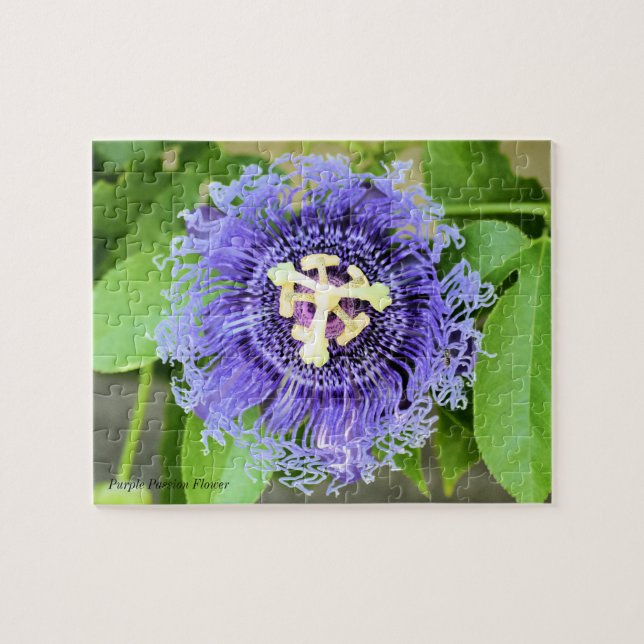 Passion Flower Jigsaw Puzzle Game (Horizontal)