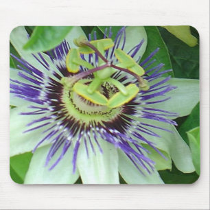 Passion Flower Mouse Pad
