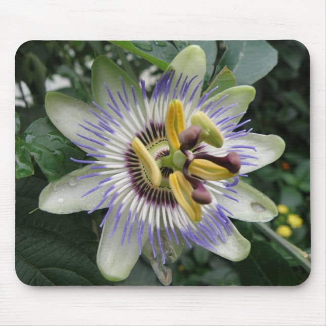 Passion Flower Mousepad (Front)