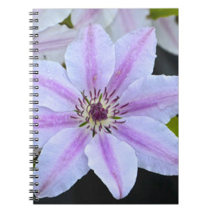 Passion Flower Notebook