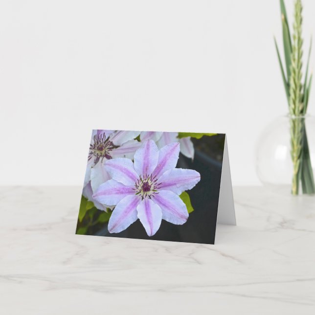 Passion Flower Notecard (Front)