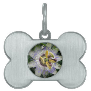 Passion Flower Pet Tag