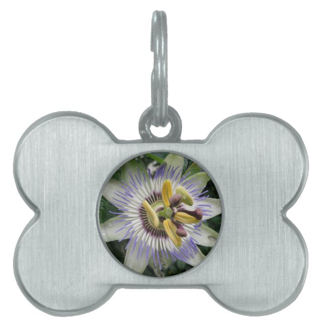 Passion Flower Pet Tag (Front)