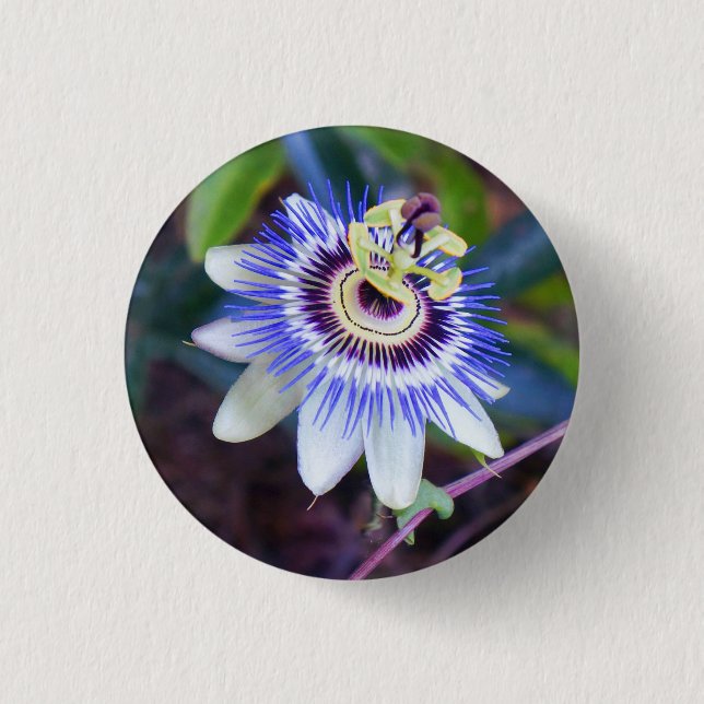 Passion Flower Pinback Button (Front)