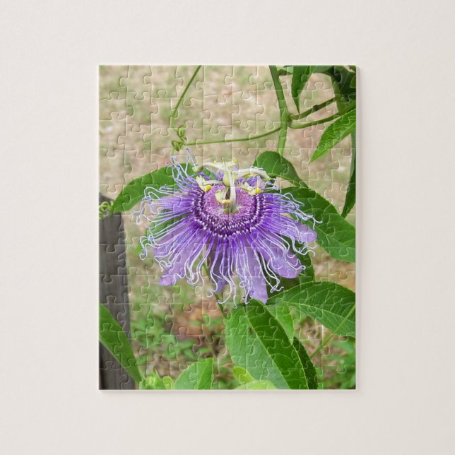 Passion Flower Puzzle (Vertical)