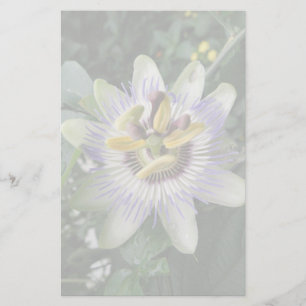 Passion Flower Stationery