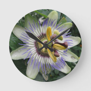 Passion Flower Wall Clock