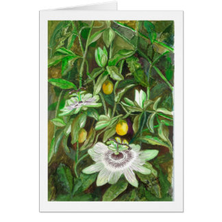 Passion Flowers