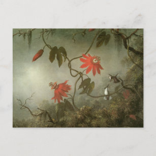 Passion Flowers and Hummingbirds by Martin J Heade Postcard