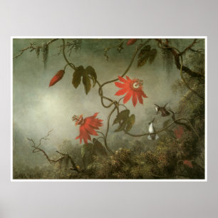 Passion Flowers and Hummingbirds Poster