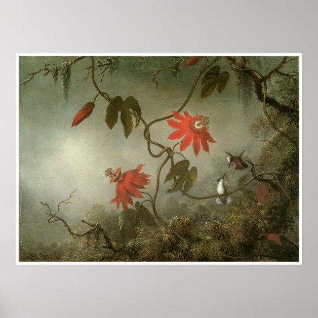 Passion Flowers and Hummingbirds Poster (Front)