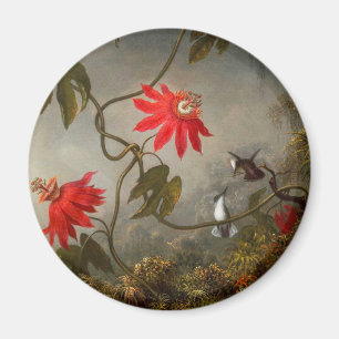 Passion Flowers with Hummingbirds Heade Magnet