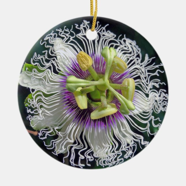 Passion Fruit Blossom Ceramic Ornament (Front)