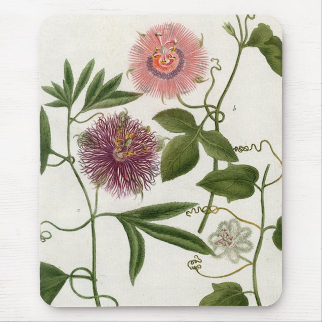 Passion Fruit Mousepad (Front)