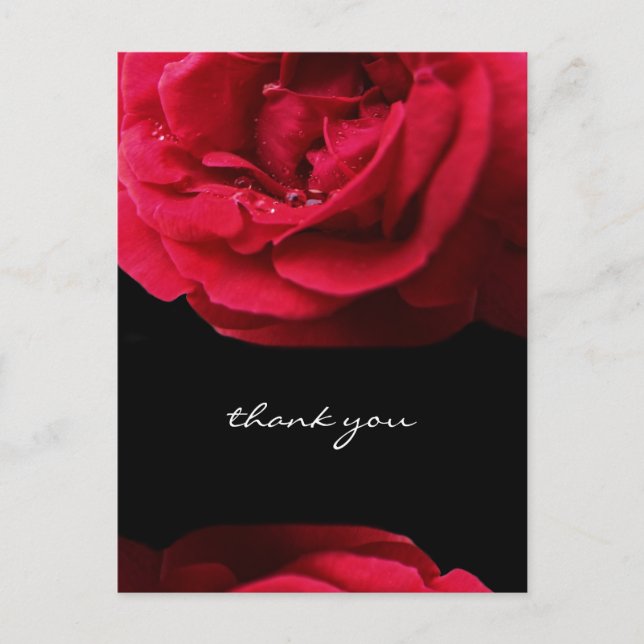 Passion Red Rose Thank You Postcard (Front)