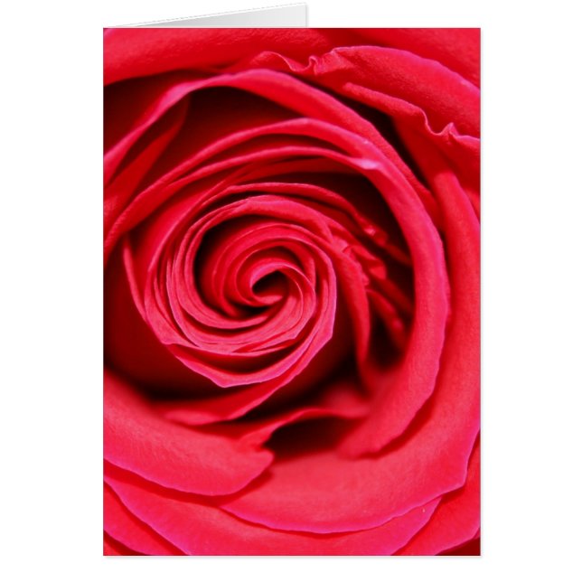 Passion Rose (Front)