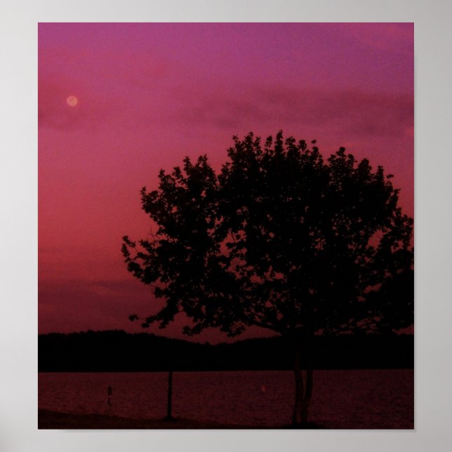 Passion Tree Poster (Front)