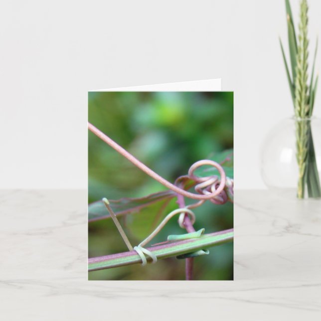 Passion Vine ~ Why Knot?! Card (Front)