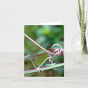 Passion Vine ~ Why Knot?! Card