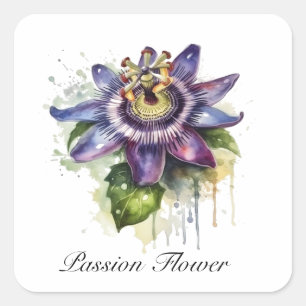 Passionate Purple Passion Flower Square Sticker