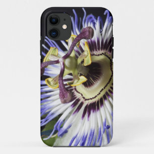 Passionflower close-up (MR) iPhone 11 Case