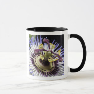 Passionflower close-up (MR) Mug