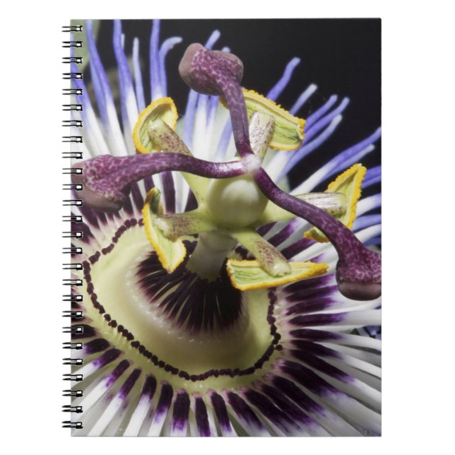 Passionflower close-up (MR) Notebook (Front)