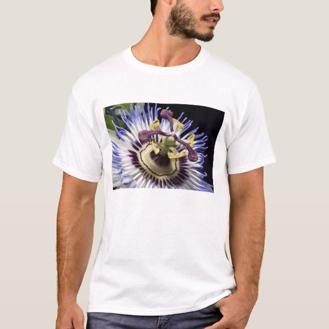 Passionflower close-up (MR) T-Shirt (Front)