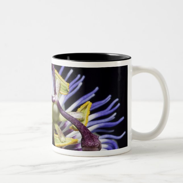 Passionflower close-up (MR) Two-Tone Coffee Mug (Right)