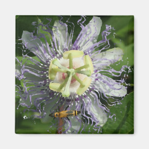 Passionflower Magnet
