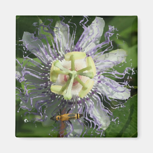 Passionflower Magnet (Front)
