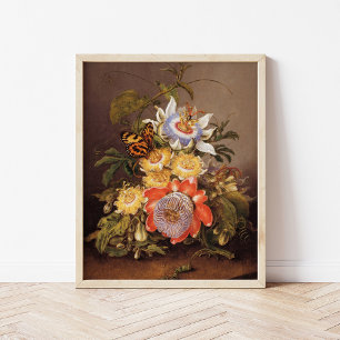 Passionflowers   Ferdinand Bauer Poster