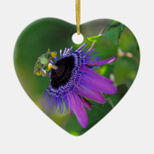 Passionsblume (Passiflora) Ceramic Tree Decoration